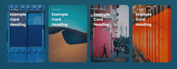 Filter Cards